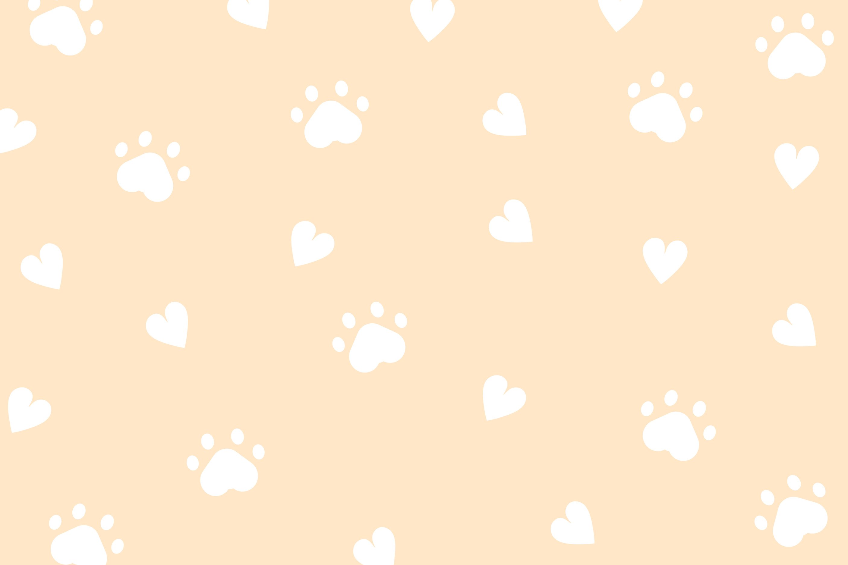 cute cat dog pattern orange background